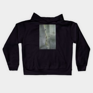 Agave detail Kids Hoodie